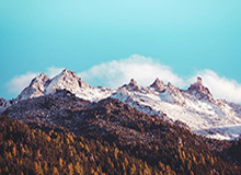 乒超联赛常规赛收官 8队晋级总决赛